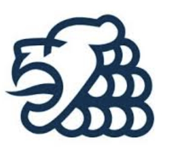 Braunschweig Lions